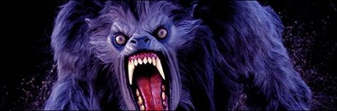 8d8731571b209fdb5f3d86d2a1f970f1