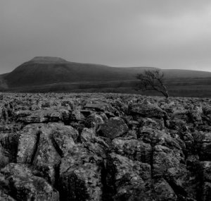 desolate landscape