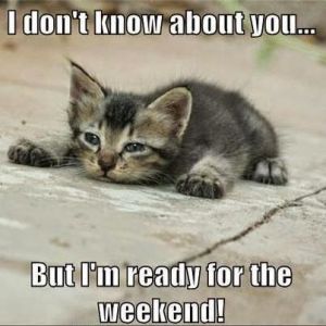 wwwwwready